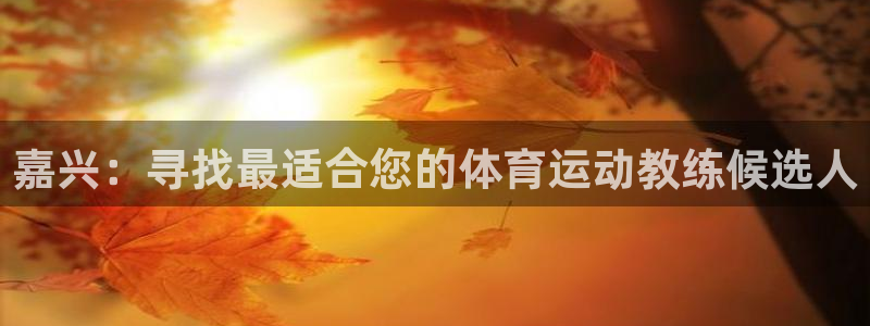 制胜体育官网app下载