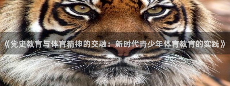 制胜体育怎么样