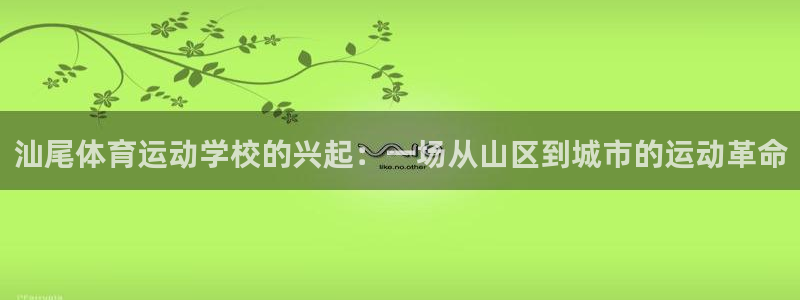 制胜体育手机版app：汕尾体育运动学校的兴起：一场从山区到城市的运动革命