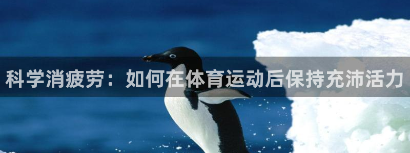 制胜体育咪咕免费现场观赏篮球