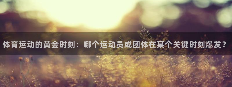 制胜体育官网