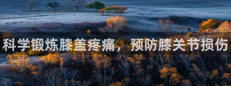 制胜体育app官方下载安装：科学锻炼膝盖疼痛，预防膝关节损伤