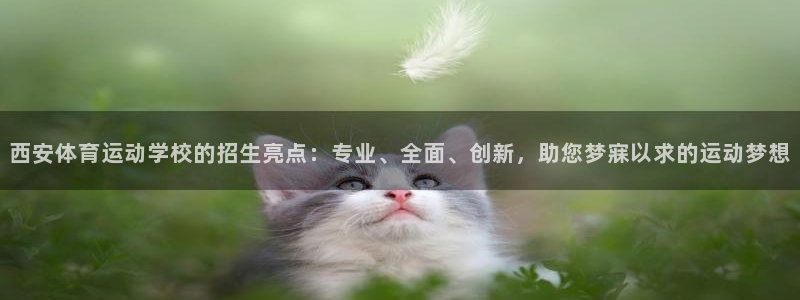 制胜体育app下载入口